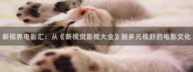 橘子视频下载app