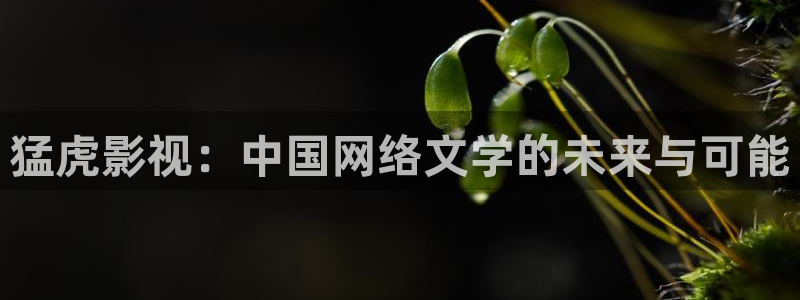 橘子影视电视版下载：猛虎影视：中国网络文学的未来与可能
