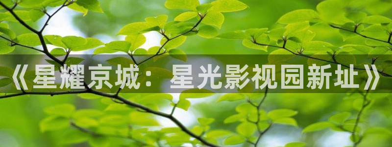 橘子视频交友