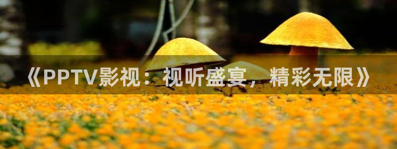橘子电影在线全集观看：《PPTV影视：视听盛宴，精彩无限》