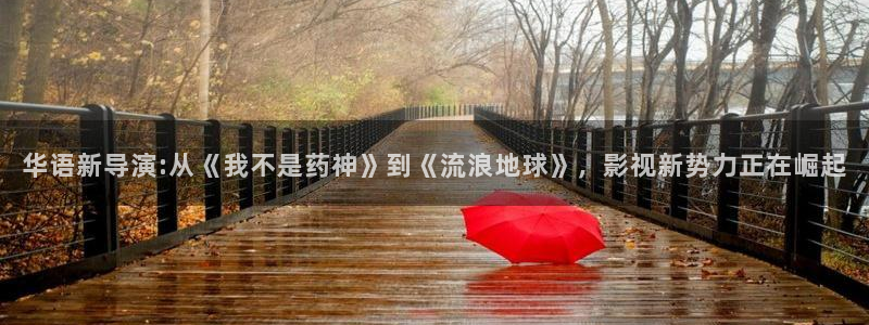 橘子视频app安卓版：华语新导演:从《我不是药神》到《流浪地球》，影视新势力正在崛起