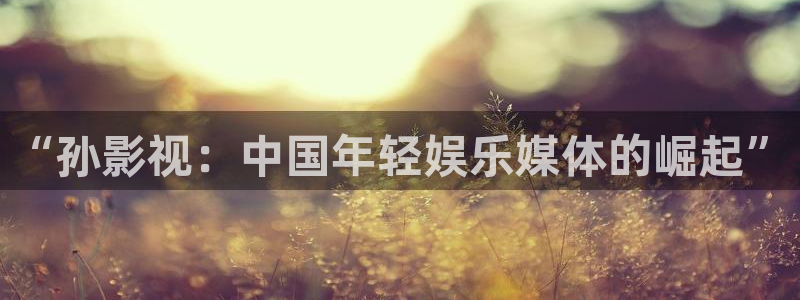橘子生长视频：“孙影视：中国年轻娱乐媒体的崛起”